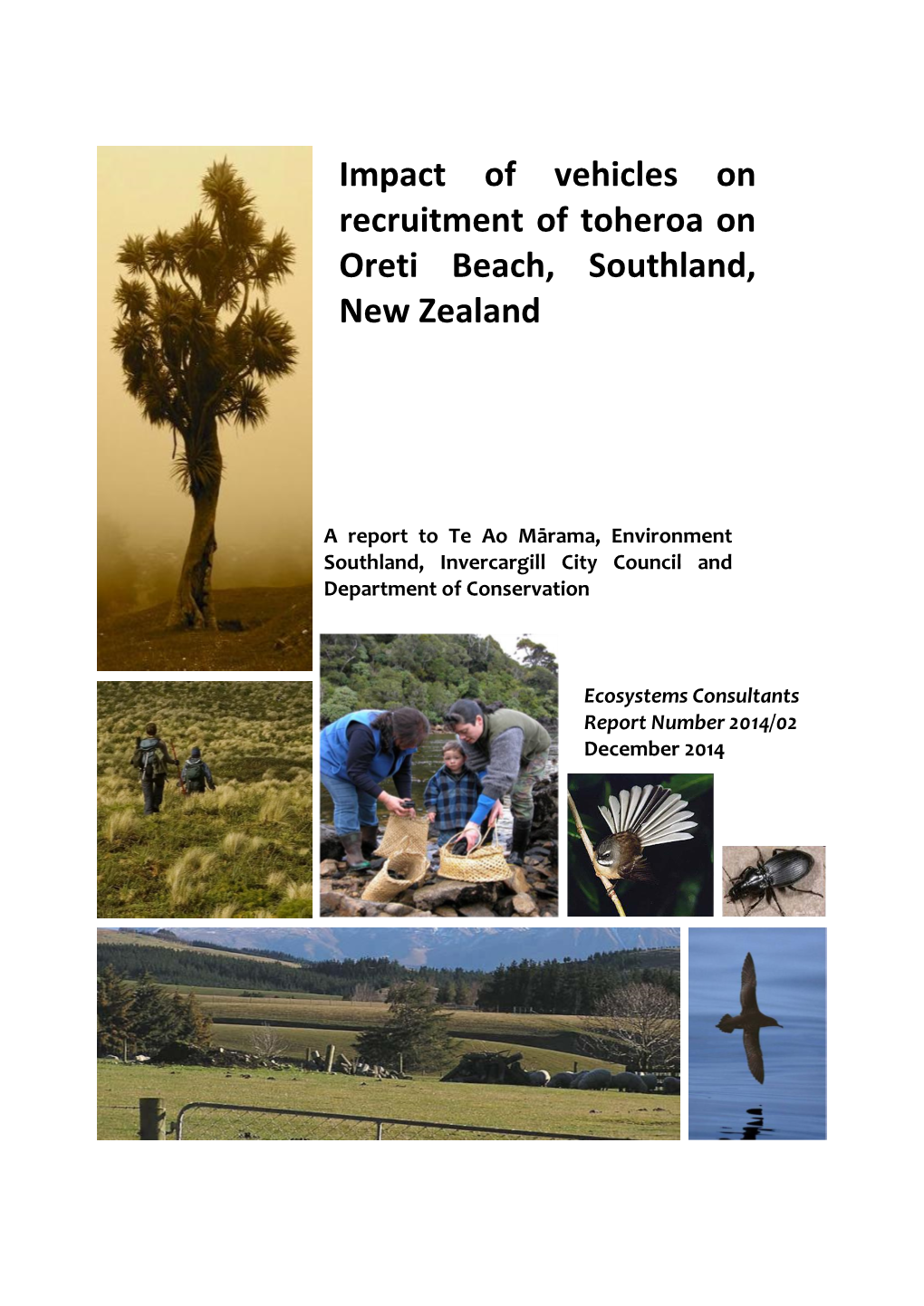 Potential Impacts of Vehicle Traffic on Recruitment of Toheroa (Paphies Ventricosa) on Oreti Beach, Southland, New Zealand