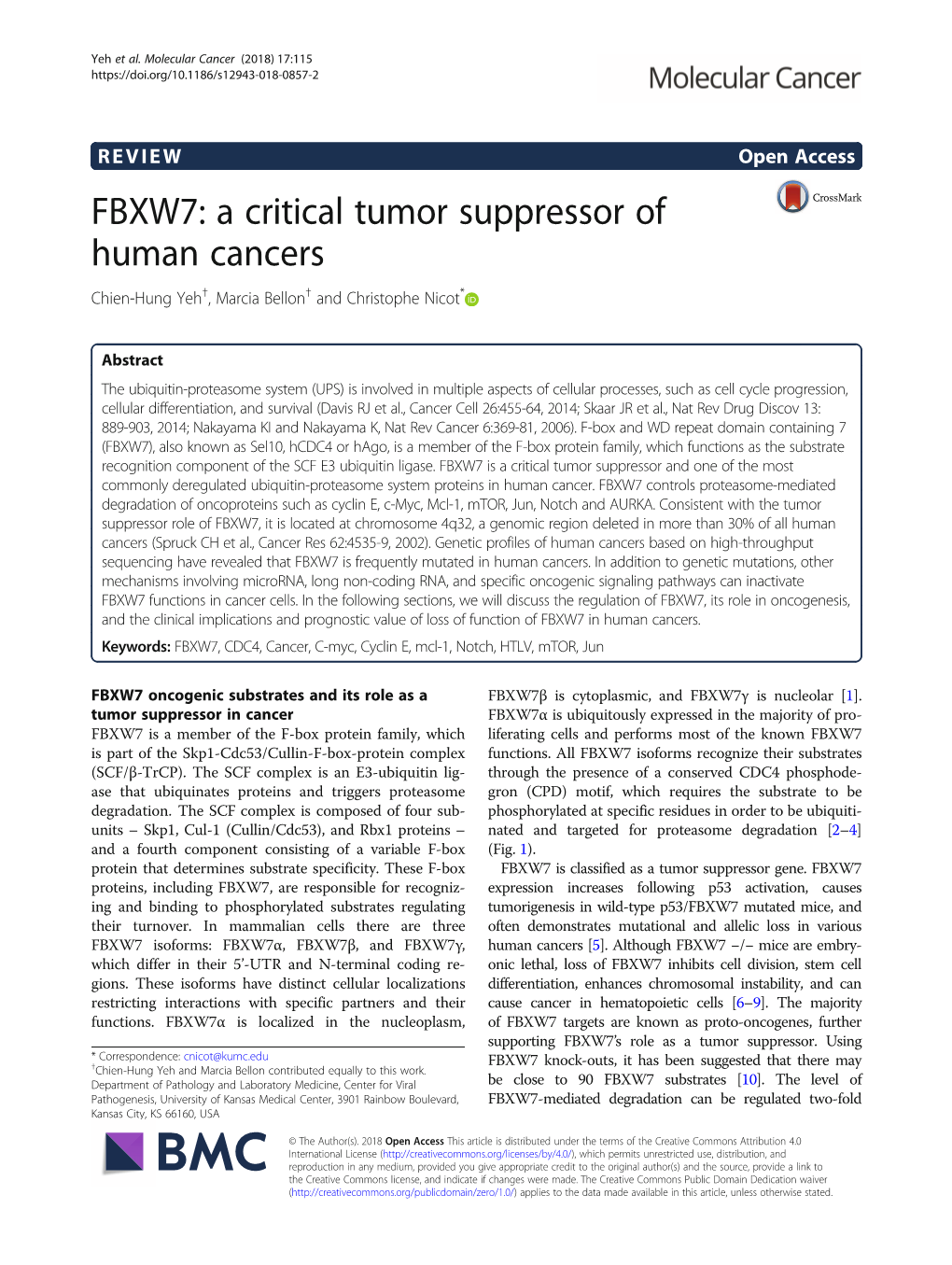 FBXW7: a Critical Tumor Suppressor of Human Cancers Chien-Hung Yeh†, Marcia Bellon† and Christophe Nicot*
