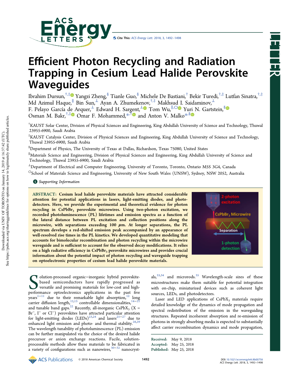 Efficient Photon Recycling and Radiation Trapping in Cesium Lead