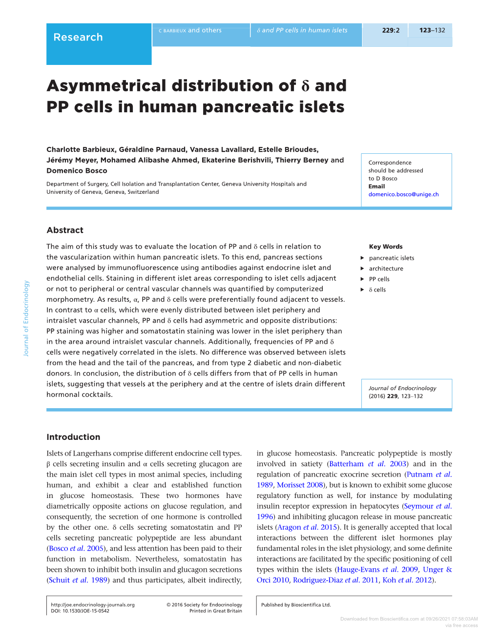 Asymmetrical Distribution of Δ and PP Cells in Human Pancreatic Islets