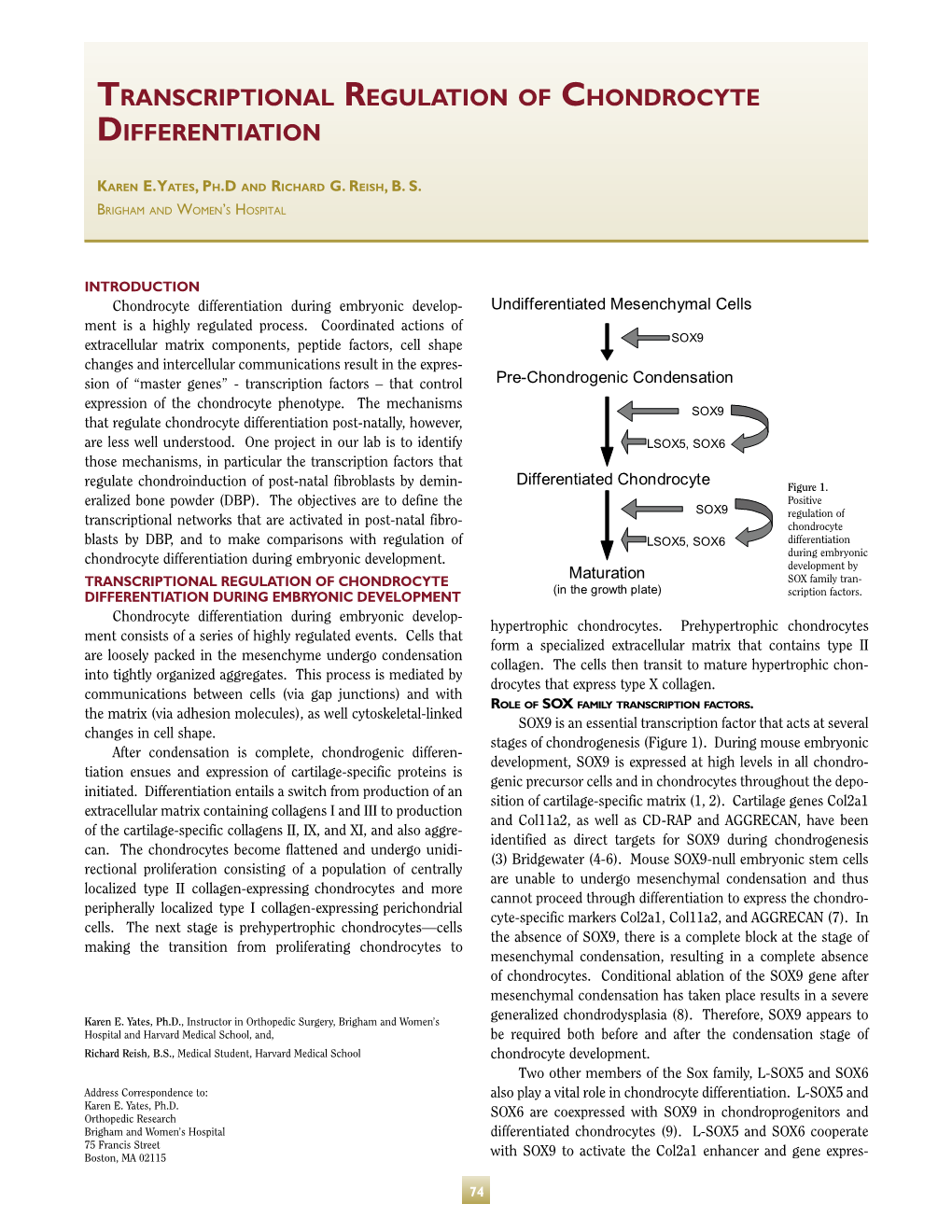 Transcriptional Regulation of Chondrocyte Differentiation