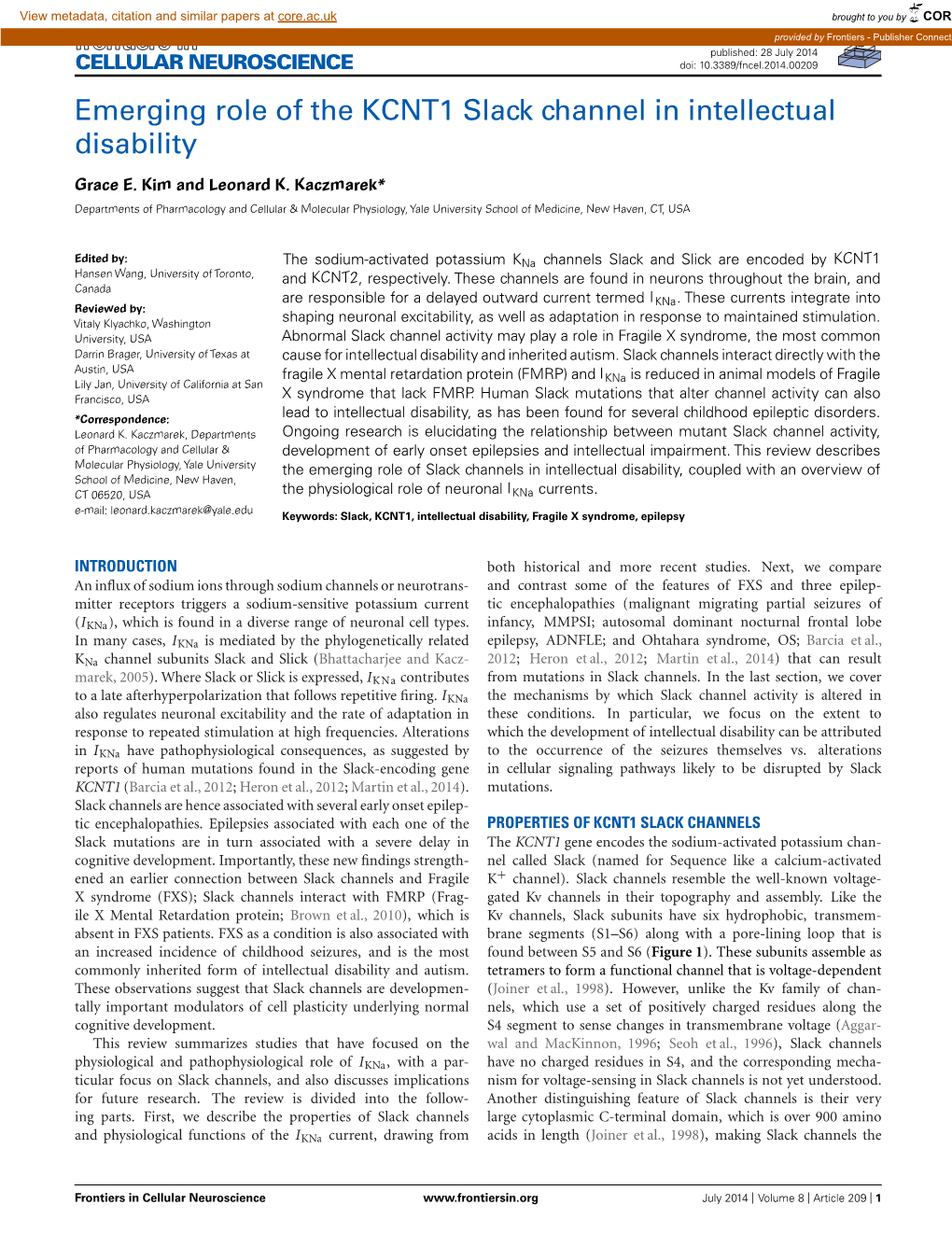 Emerging Role of the KCNT1 Slack Channel in Intellectual Disability