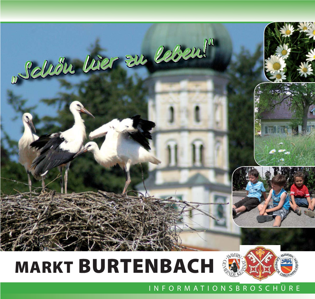 Druck Burtenbach.Indd