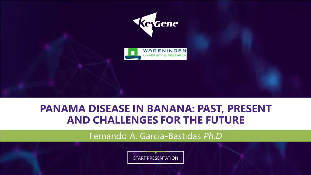 PANAMA DISEASE in BANANA: PAST, PRESENT and CHALLENGES for the FUTURE Fernando A