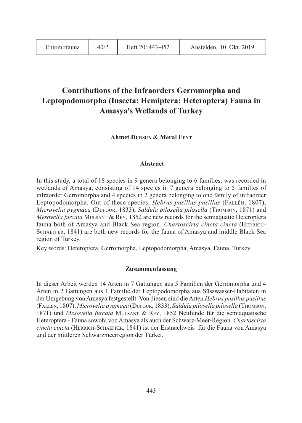 Contributions of the Infraorders Gerromorpha and Leptopodomorpha 02.Indd 1 16.09.19 15:44 Introduction