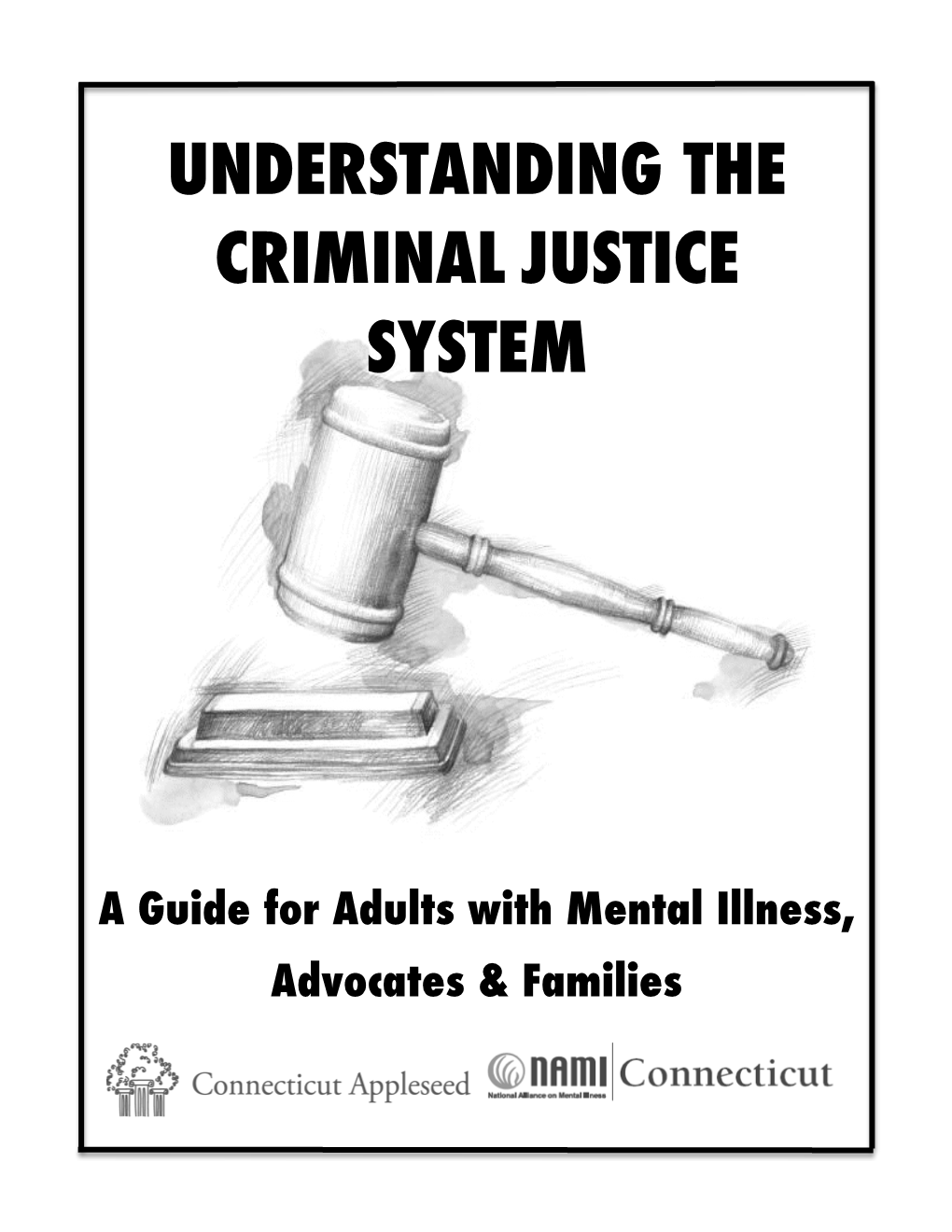 Understanding the Criminal Justice System