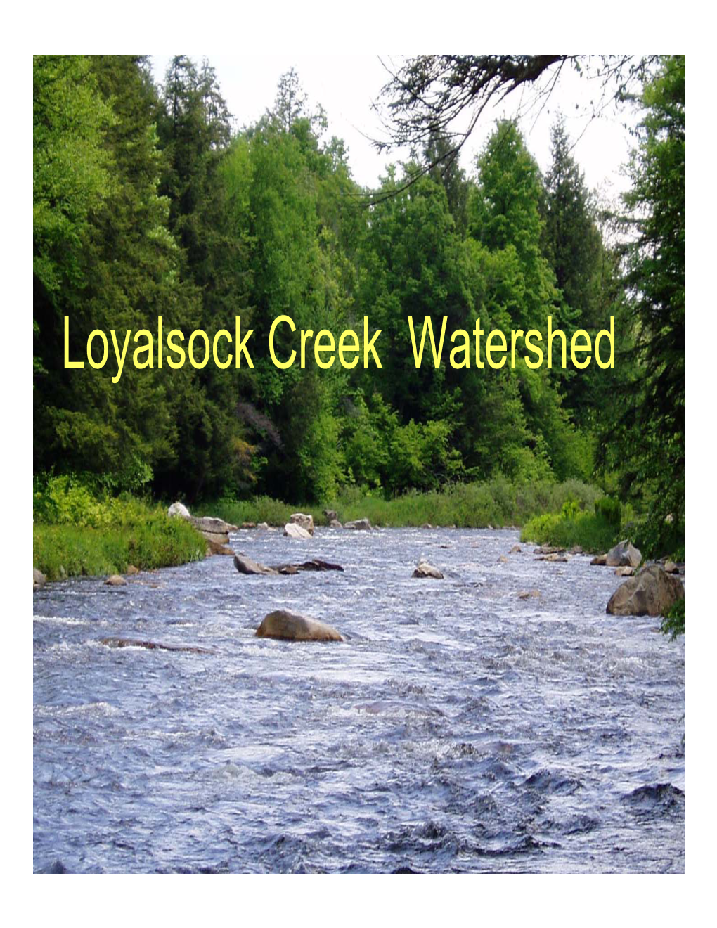 Loyalsock Creek Watershed Presented By: Jim Rogers, Theresa Black, Don Muraco, and Todd Hillegas Overviewoverview Ofof Thethe Projectproject