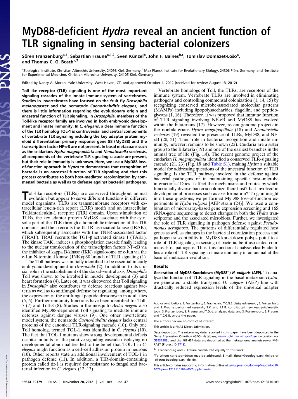 Myd88-Deficient Hydra Reveal an Ancient Function of TLR Signaling In