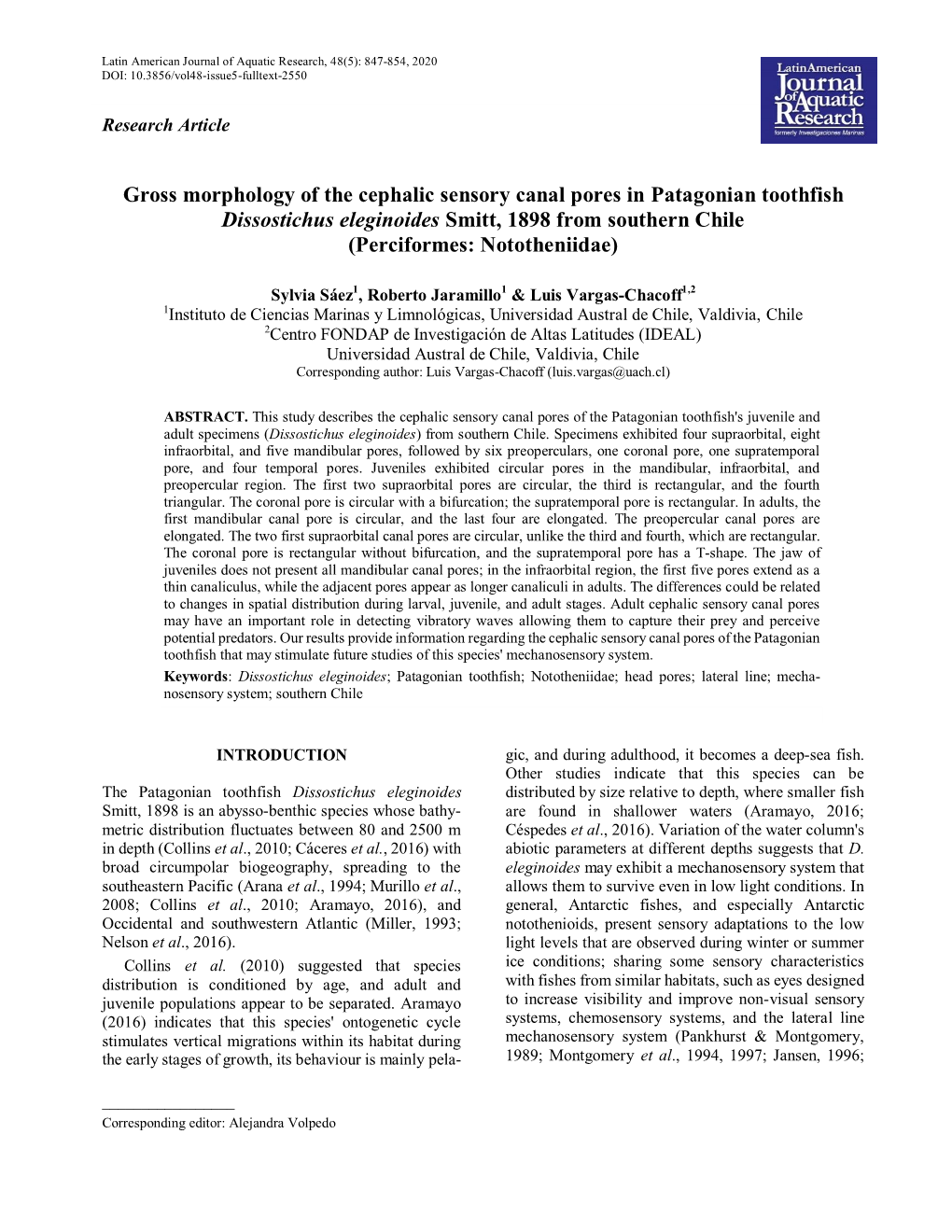 Gross Morphology of the Cephalic Sensory Canal Pores in Patagonian Toothfish Dissostichus Eleginoides Smitt, 1898 from Southern Chile (Perciformes: Nototheniidae)