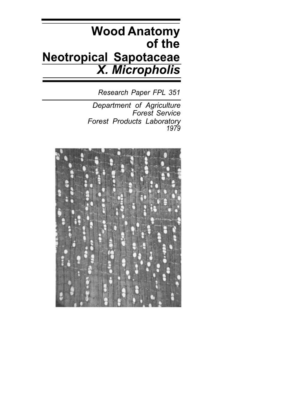 Wood Anatomyof Theneotropical Sapotaceaex. Micropholis