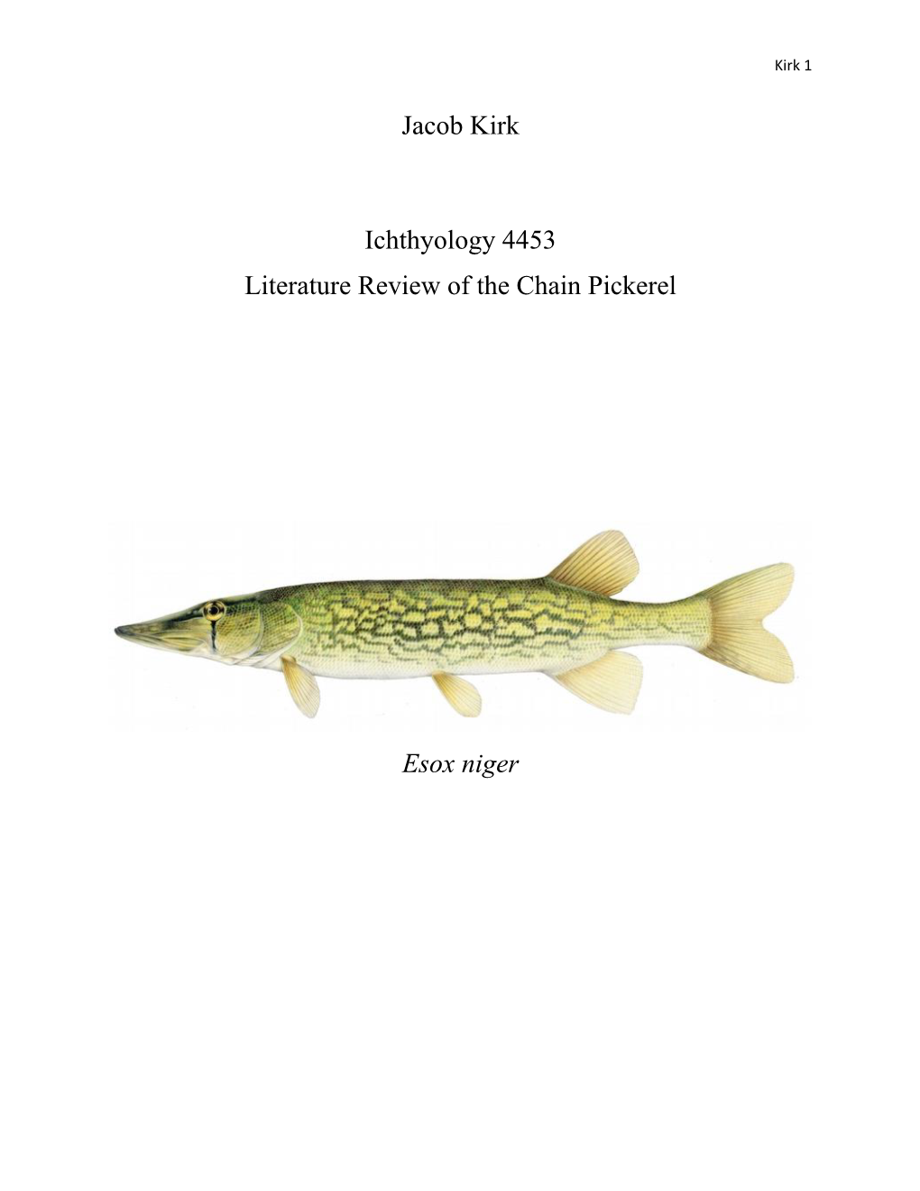 Jacob Kirk Ichthyology 4453 Literature Review of the Chain Pickerel Esox