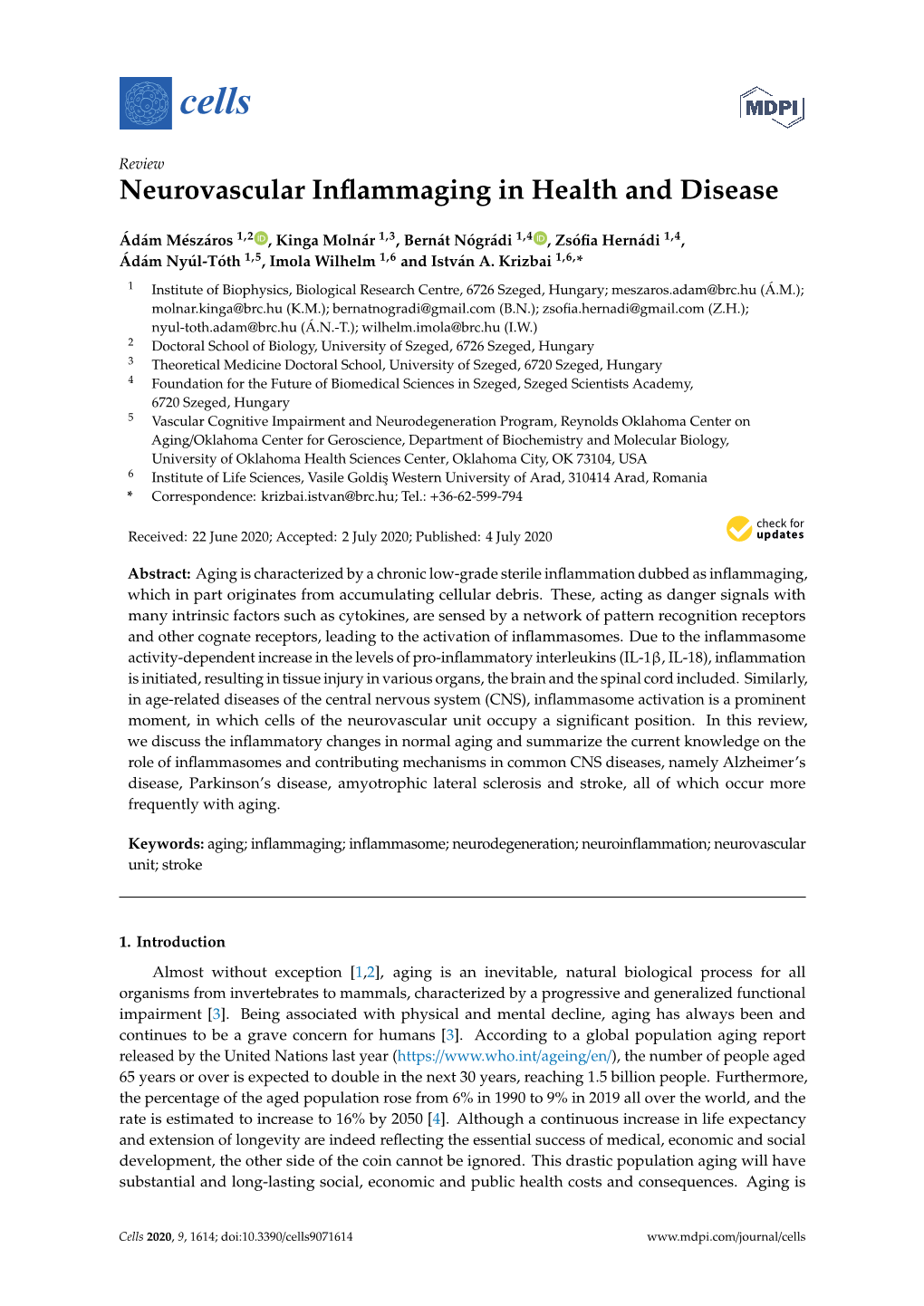 Neurovascular Inflammaging in Health and Disease