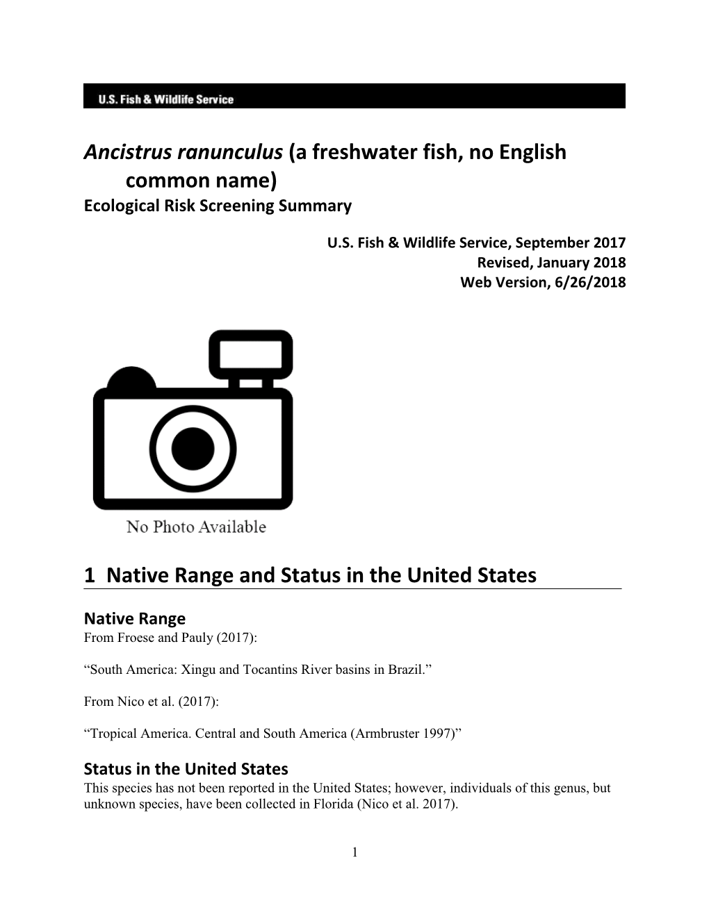 Ancistrus Ranunculus (A Freshwater Fish, No English Common Name) Ecological Risk Screening Summary