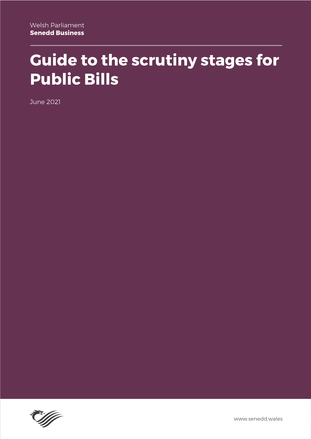 Guide to the Scrutiny Stages of Public Bills