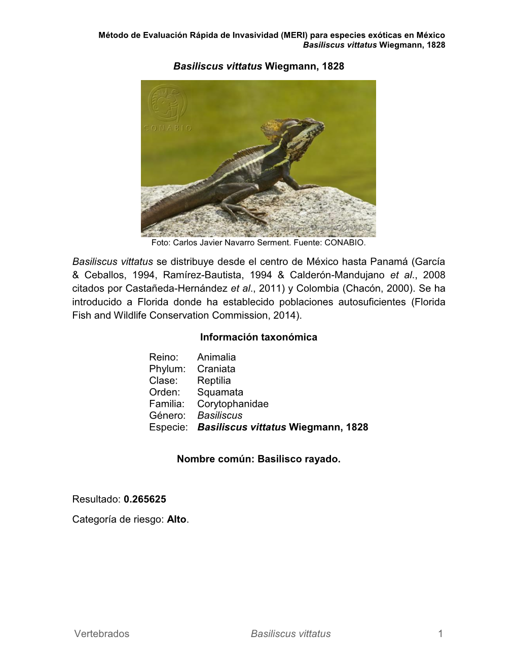 Basiliscus Vittatus Wiegmann, 1828