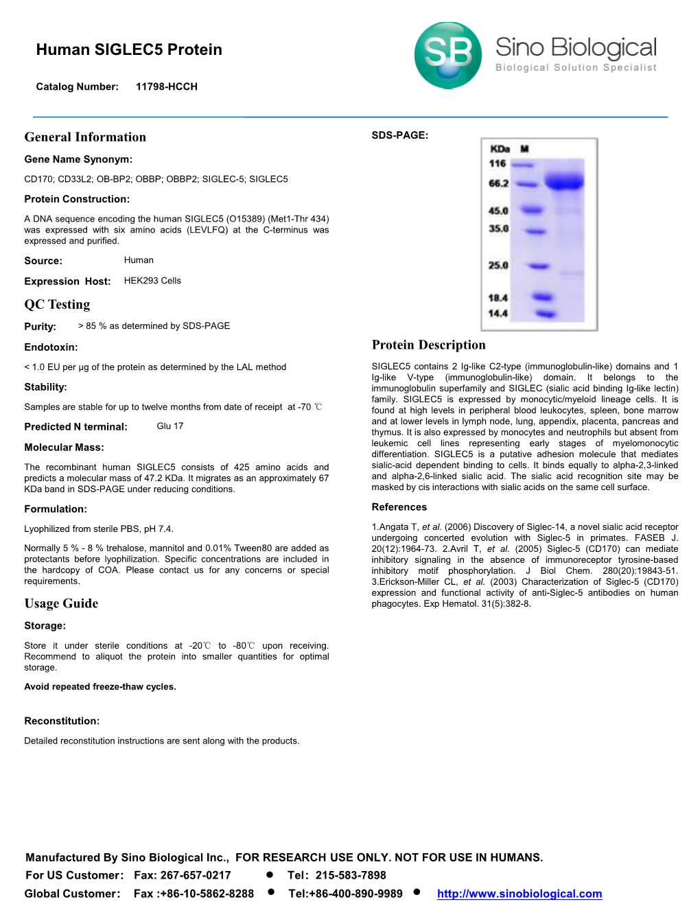 Human SIGLEC5 Protein