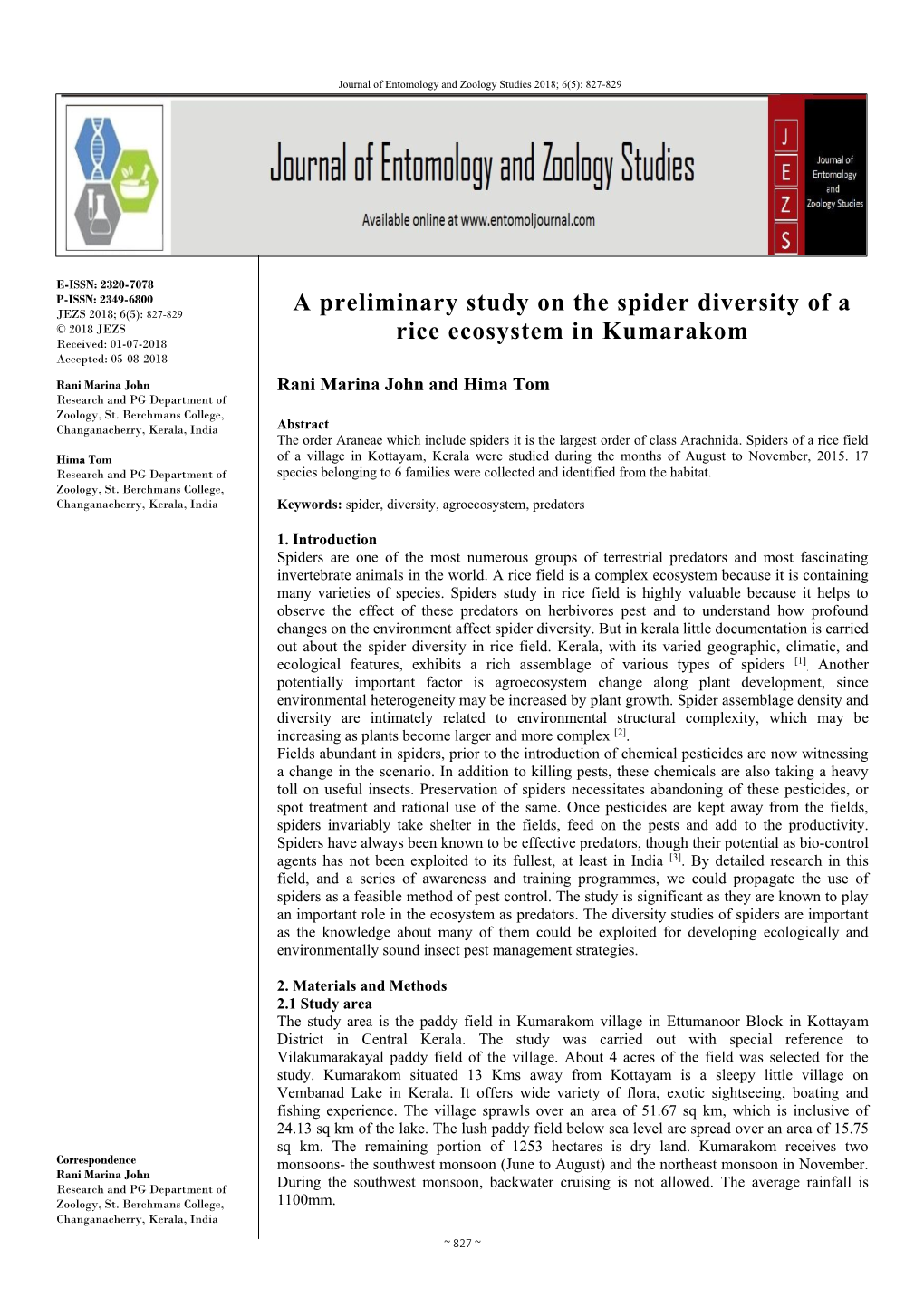 A Preliminary Study on the Spider Diversity of a Rice Ecosystem In