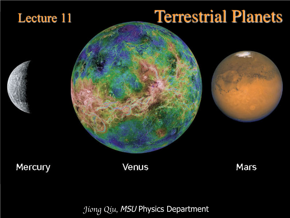 Terrestrial Planets