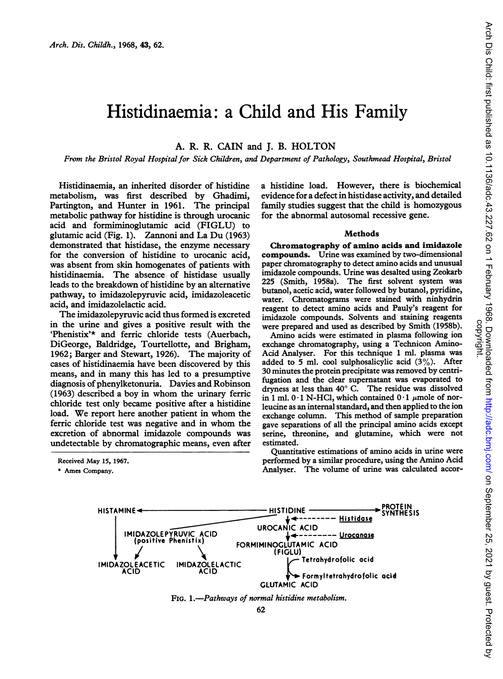 Histidinaemia: a Child and His Family