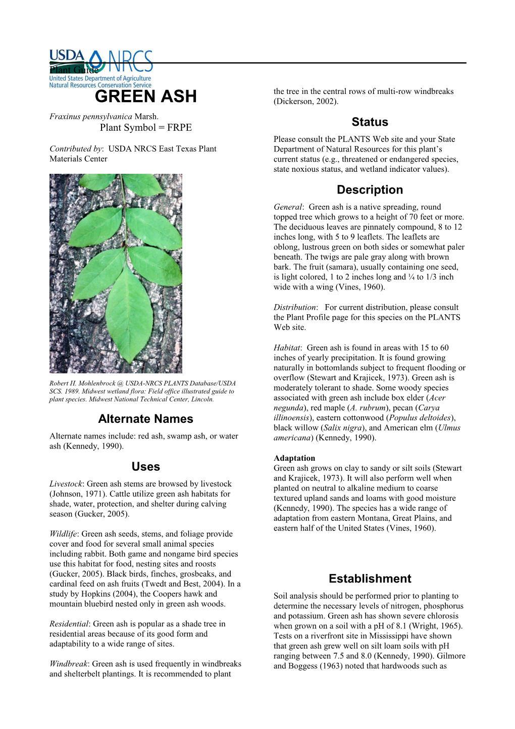 Green Ash, Fraxinus Pennsylvanica, Green Ash Plant Guide