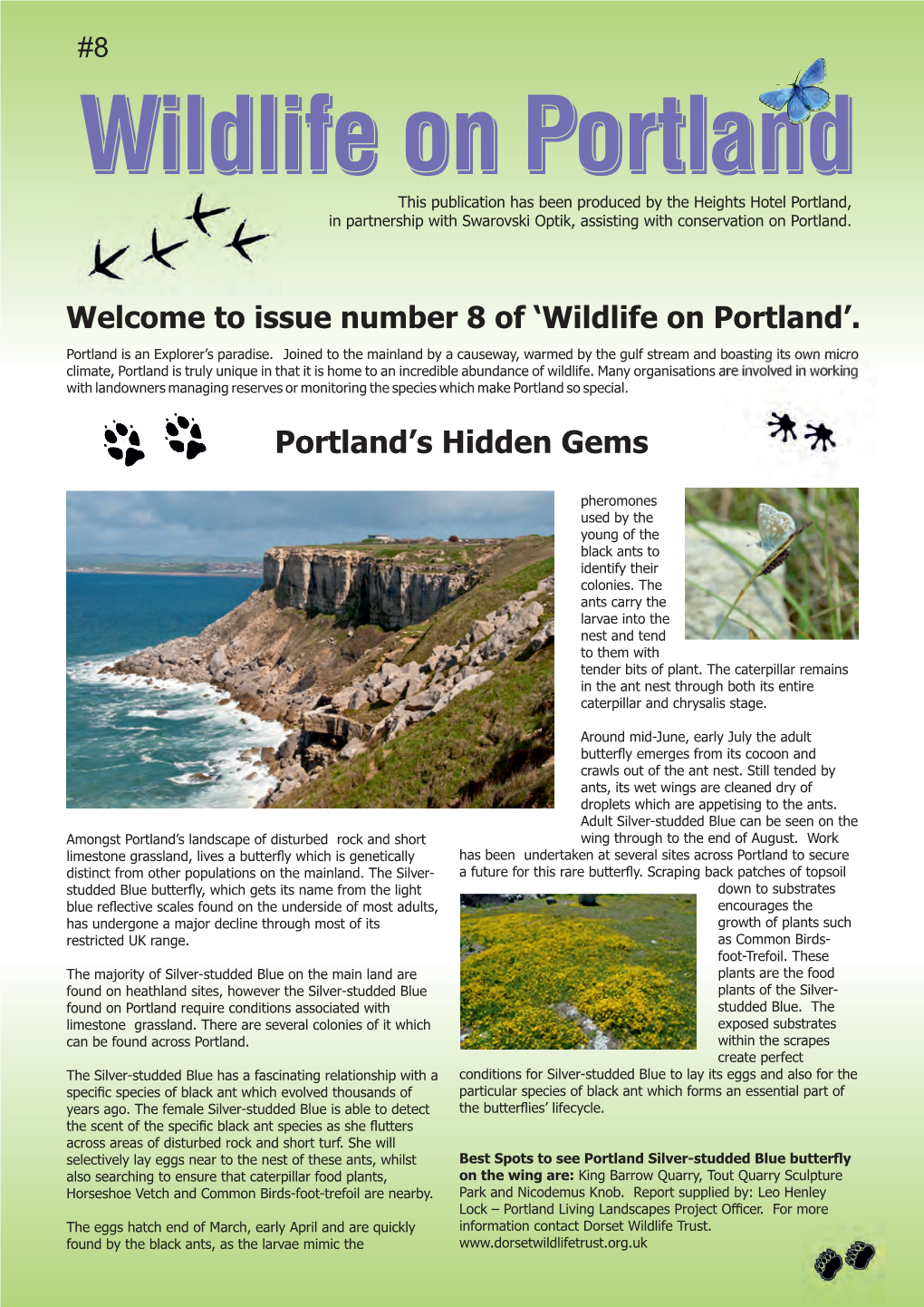 31202 Heights Wildlife on Portland Newsletter 2015 .Cdr