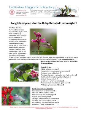 Long Island Plants for the Ruby-Throated Hummingbird