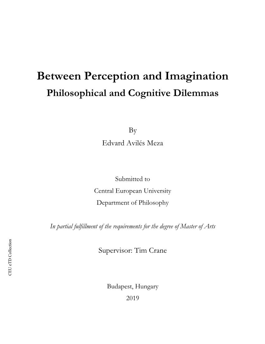 Between Perception and Imagination Philosophical and Cognitive Dilemmas