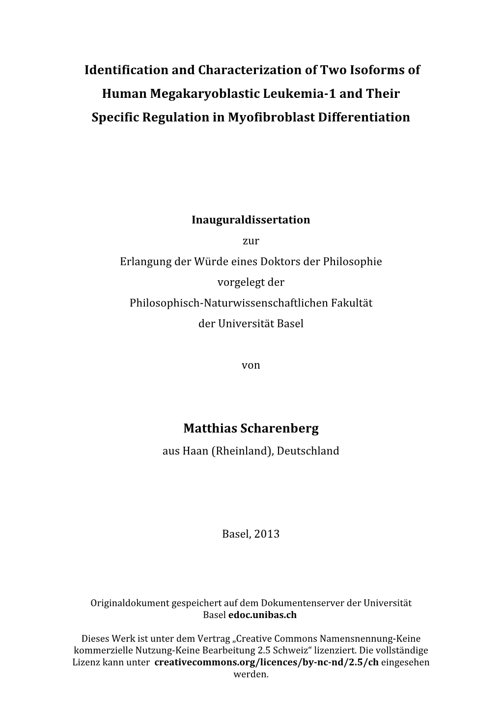 Phd Thesis Matthias Scharenberg.Pdf