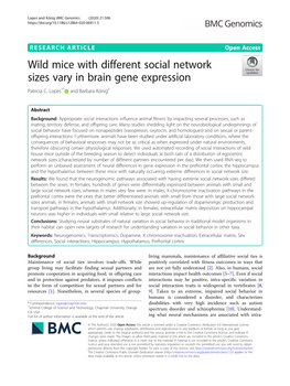 Wild Mice with Different Social Network Sizes Vary in Brain Gene Expression Patricia C