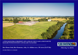 Bert House Stud, Bert Demesne, Athy, Co. Kildare on C. 58 Acres (23.47 Ha) PSRA Reg