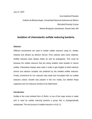 Isolation of Chemotactic Sulfate Reducing Bacteria