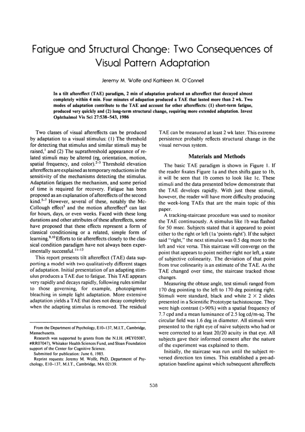 Fatigue and Structural Change: Two Consequences of Visual Pattern Adaptation