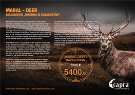 Maral - Deer Fascination „Hunting in Kazakhstan“