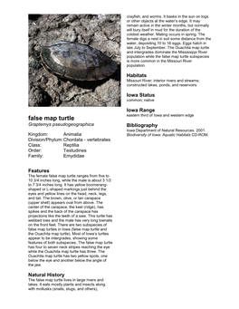 False Map Turtle Subspecies Is More Common in the Missouri River Population