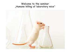 Welcome to the Seminar „Humane Killing of Laboratory Mice“ Two (Main) Reasons for Killing Animals in Research