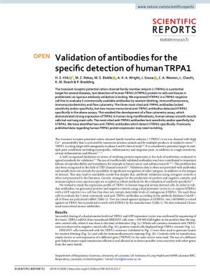 Validation of Antibodies for the Specific Detection of Human TRPA1