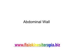 Abdominal Wall Landmarks: Bony & Soft