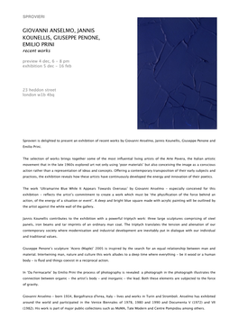 Arte Povera, Press Release with Image Copy