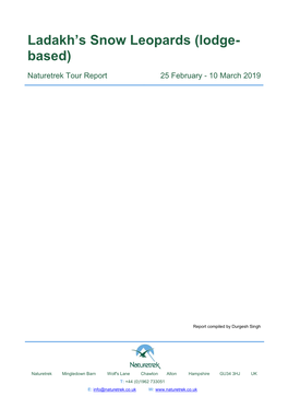 Ladakh's Snow Leopards (Lodge- Based)