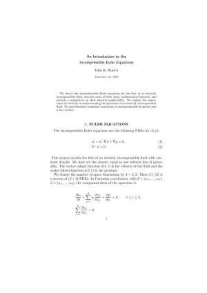 The Incompressible Euler Equations