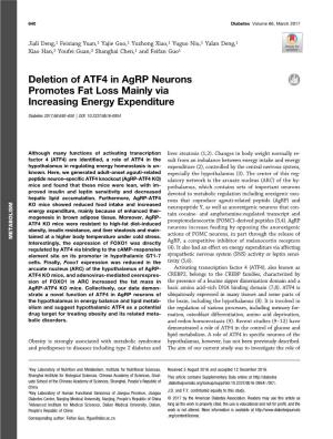 Deletion of ATF4 in Agrp Neurons Promotes Fat Loss Mainly Via Increasing Energy Expenditure