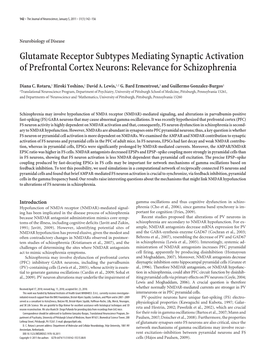 Glutamate Receptor Subtypes Mediating Synaptic Activation of Prefrontal Cortex Neurons: Relevance for Schizophrenia