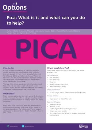 Pica: What Is It and What Can You Do to Help?