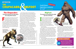 CHUPACABRA BIGFOOT Legendary Creatures Be Real? by JENNIFER DIGNAN