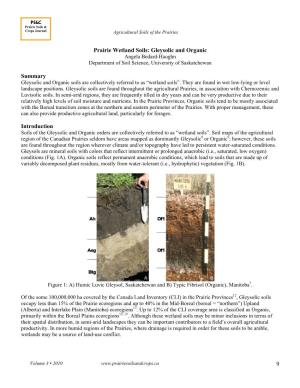 Prairie Wetland Soils: Gleysolic and Organic Angela Bedard-Haughn Department of Soil Science, University of Saskatchewan