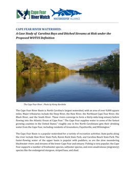 A Case Study of Carolina Bays and Ditched Streams at Risk Under the Proposed WOTUS Definition