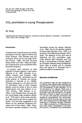 CO2 Assimilation in Young Prosopis Plants