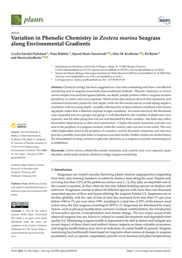 Variation in Phenolic Chemistry in Zostera Marina Seagrass Along Environmental Gradients