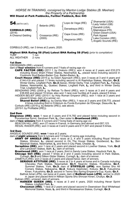 HORSE in TRAINING, Consigned by Manton Lodge Stables (B. Meehan) the Property of a Partnership Will Stand at Park Paddocks, Further Paddock, Box 445