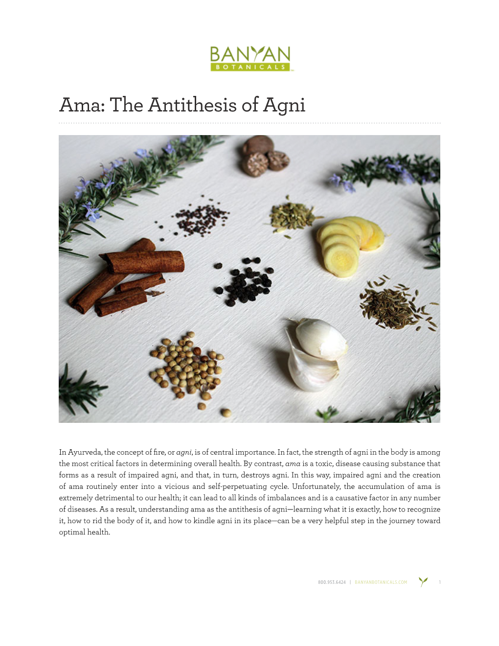Ama: the Antithesis of Agni
